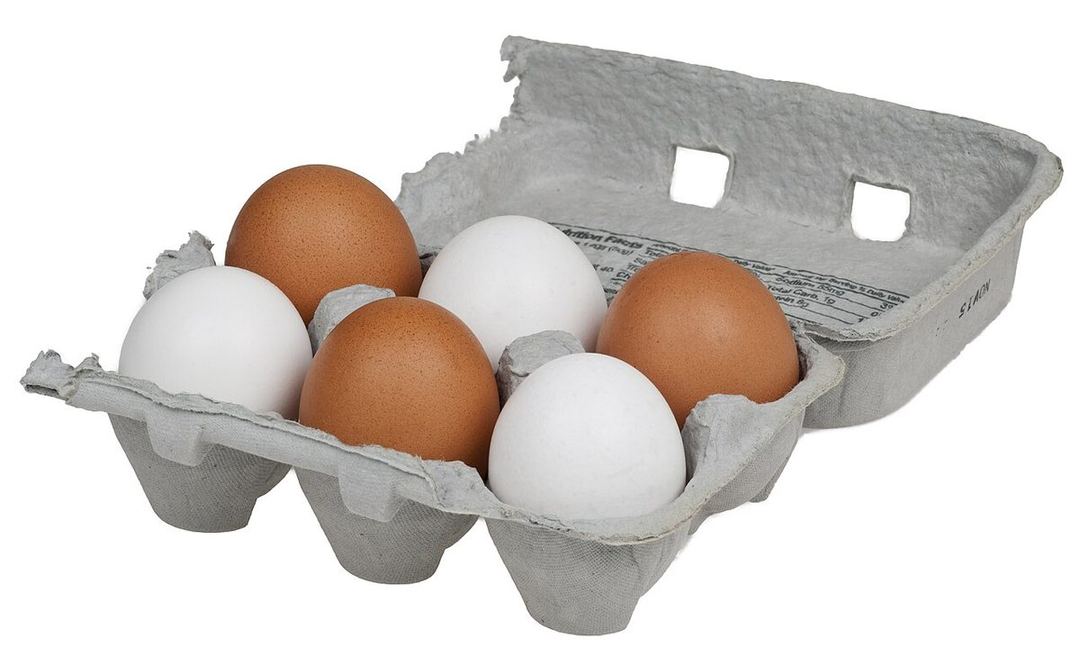 Boîtes à œufs réutilisables
